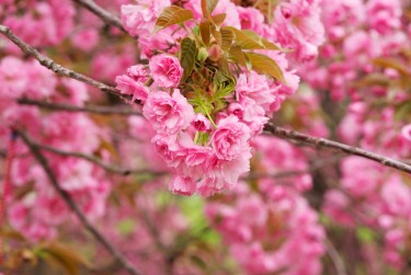 湖州吴兴区2线下个人借款平台一站式服务，轻松解决资金难题