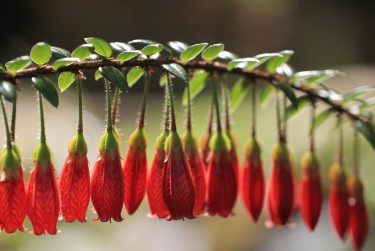 湖州吴兴区2零用贷短借：轻松解决临时资金需求